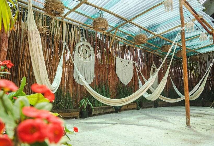 Arte Sano Hotel Only Adults   Near Beach