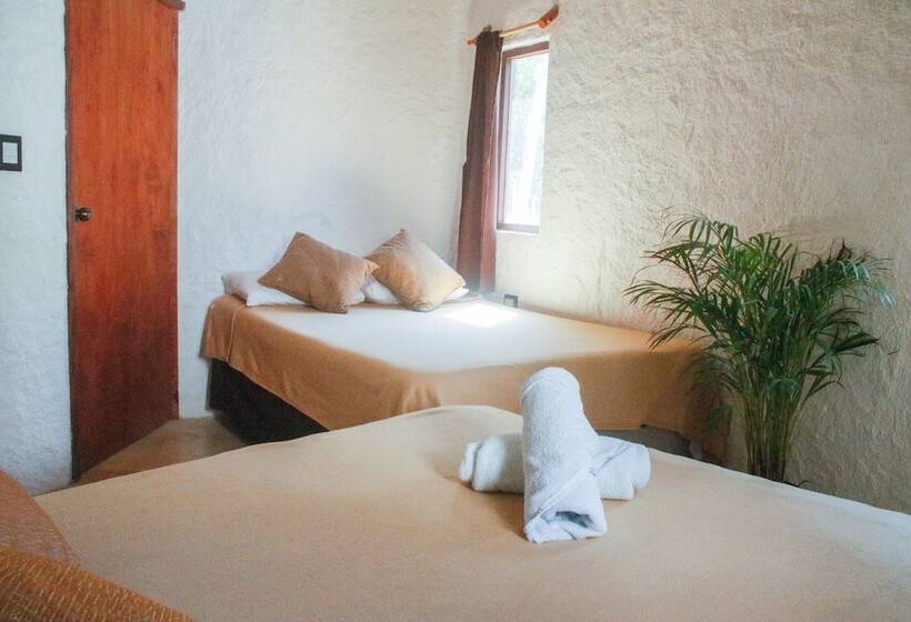 Arte Sano Hotel Only Adults   Near Beach