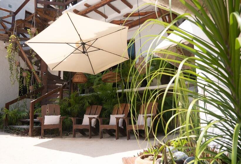 Arte Sano Hotel Only Adults   Near Beach