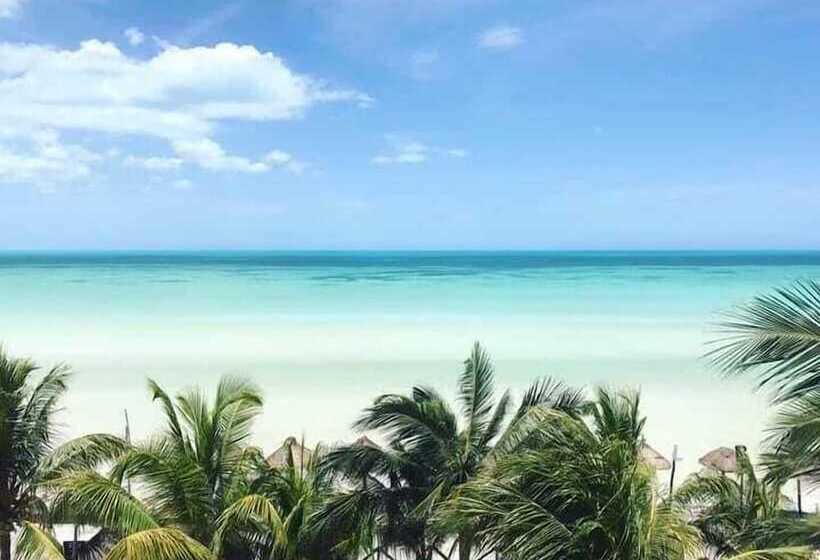 Arte Sano Hotel Only Adults   Near Beach