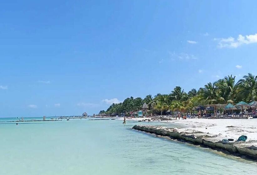 Arte Sano Hotel Only Adults   Near Beach