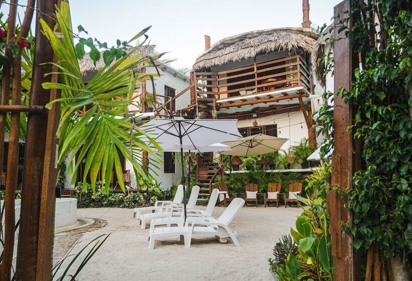 Arte Sano Hotel Only Adults   Near Beach