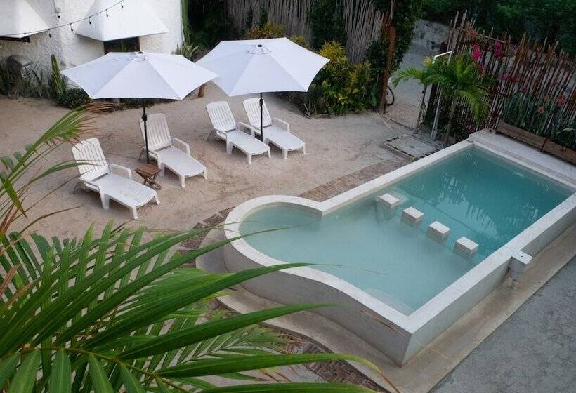 Arte Sano Hotel Only Adults   Near Beach