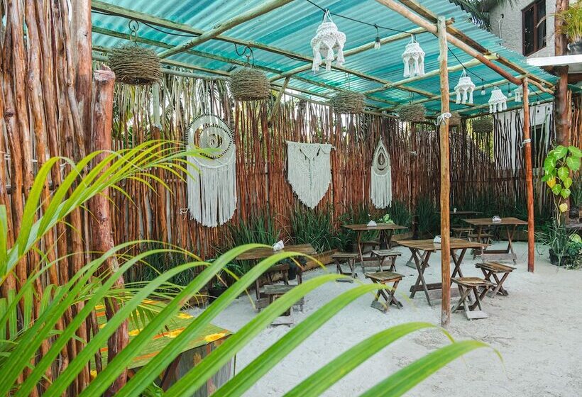 Arte Sano Hotel Only Adults   Near Beach