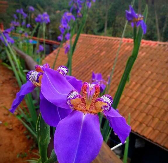 مبيت وإفطار Casa Da Lua Estrela