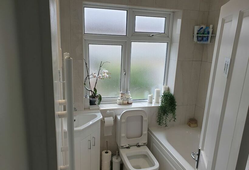 Bed and Breakfast The 36