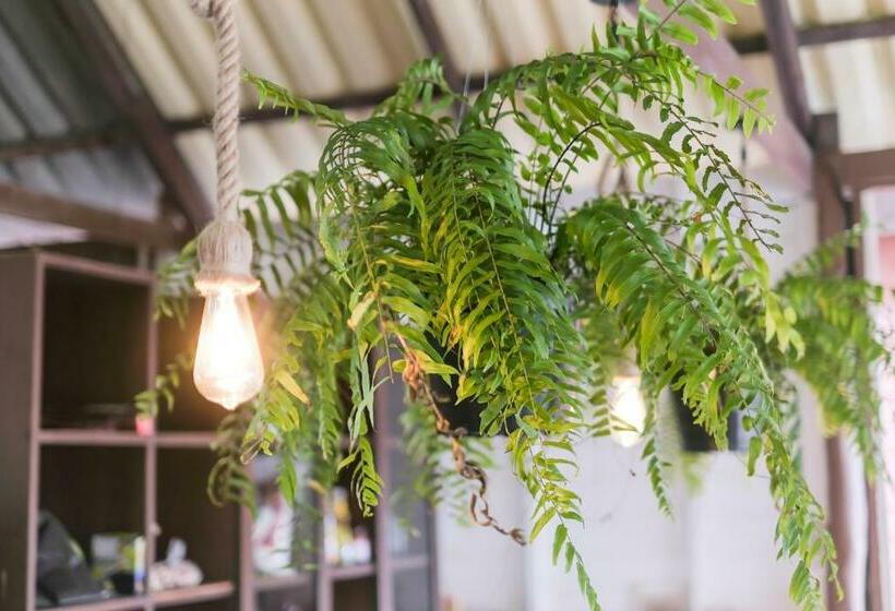 Boho Hostel