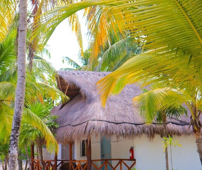 Отель Alito Tulum