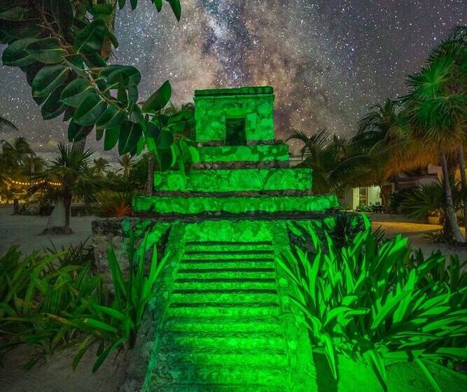 Отель Alito Tulum