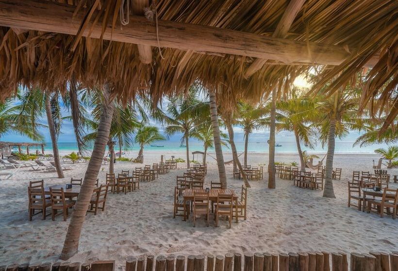 Отель Alito Tulum