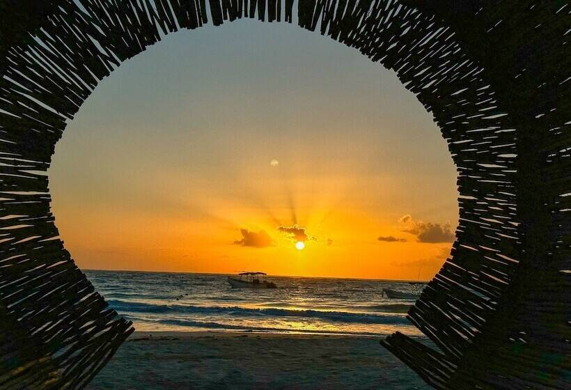 Отель Alito Tulum