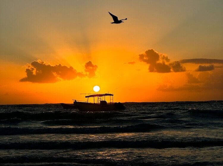 Отель Alito Tulum