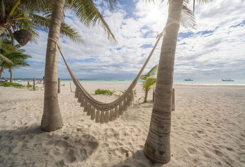 Отель Alito Tulum