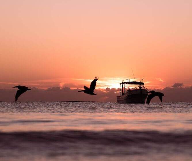 Отель Alito Tulum
