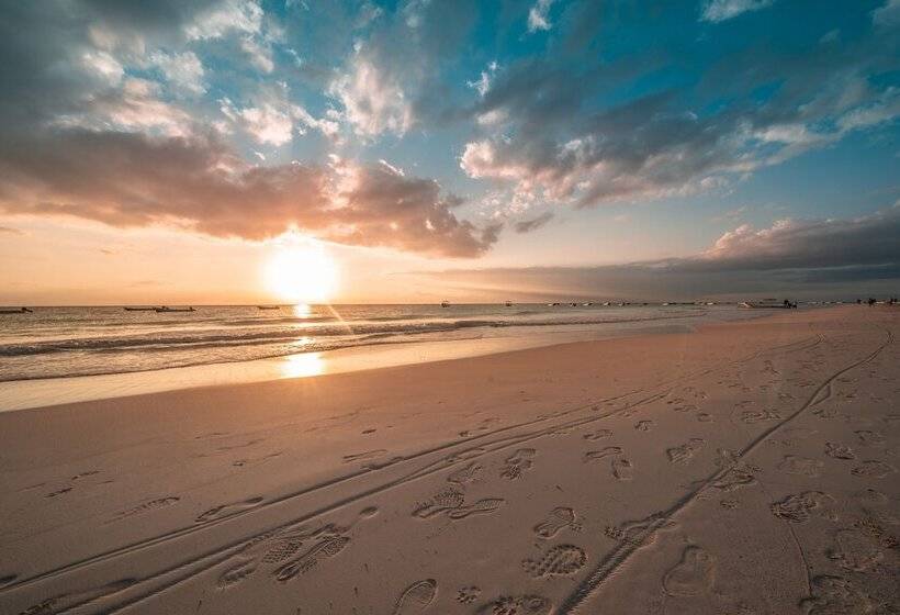 Отель Alito Tulum