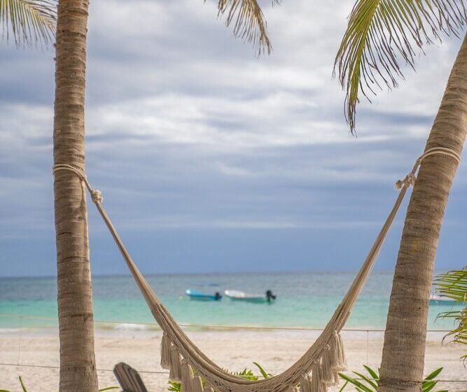 Отель Alito Tulum