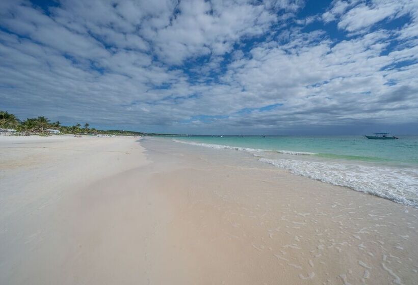 Отель Alito Tulum