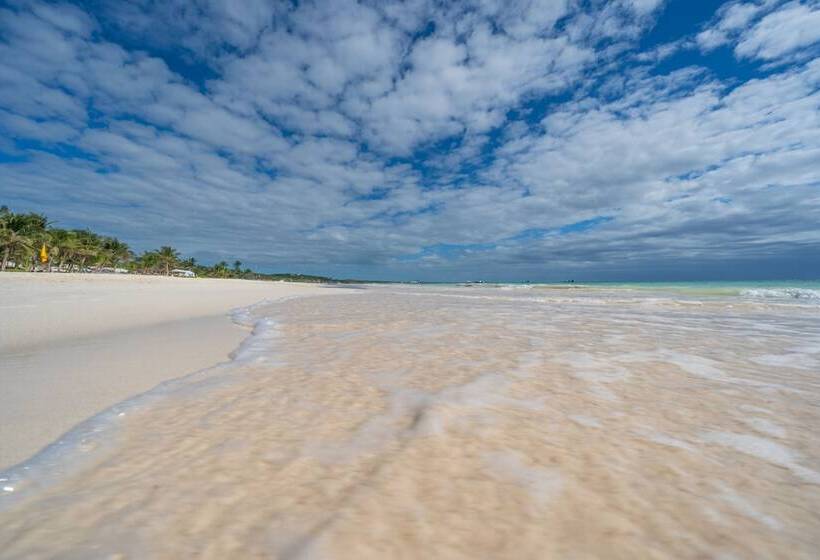 Отель Alito Tulum