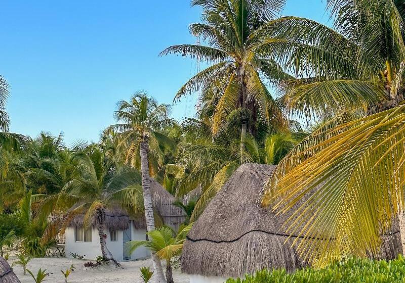 Отель Alito Tulum
