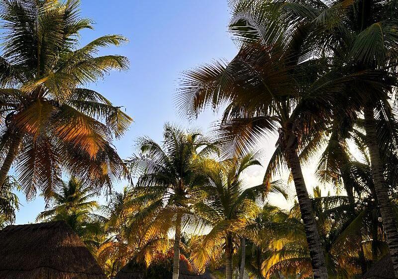 Отель Alito Tulum