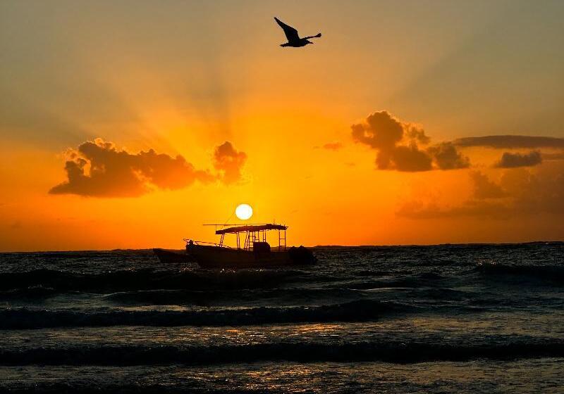 Отель Alito Tulum