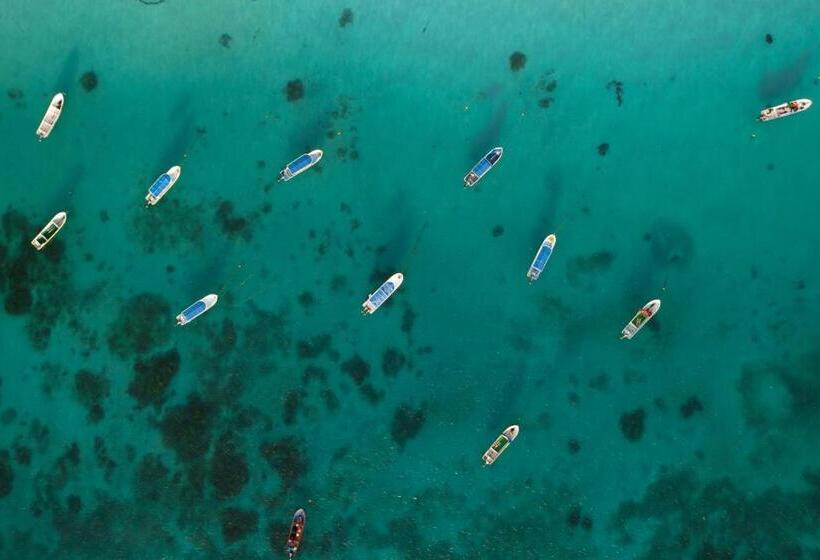 Отель Alito Tulum