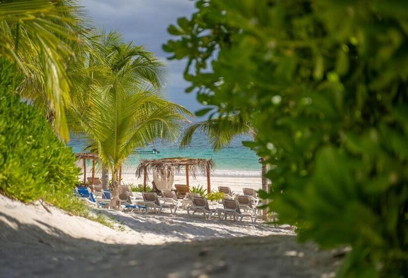 Отель Alito Tulum