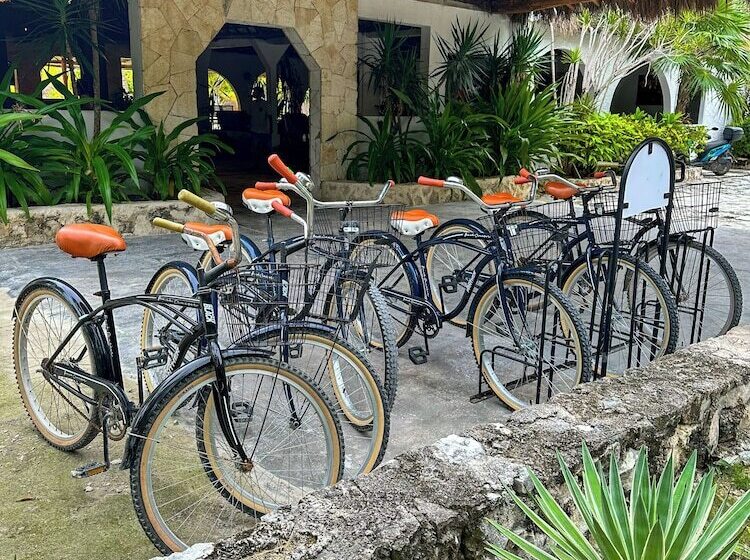 Отель Alito Tulum