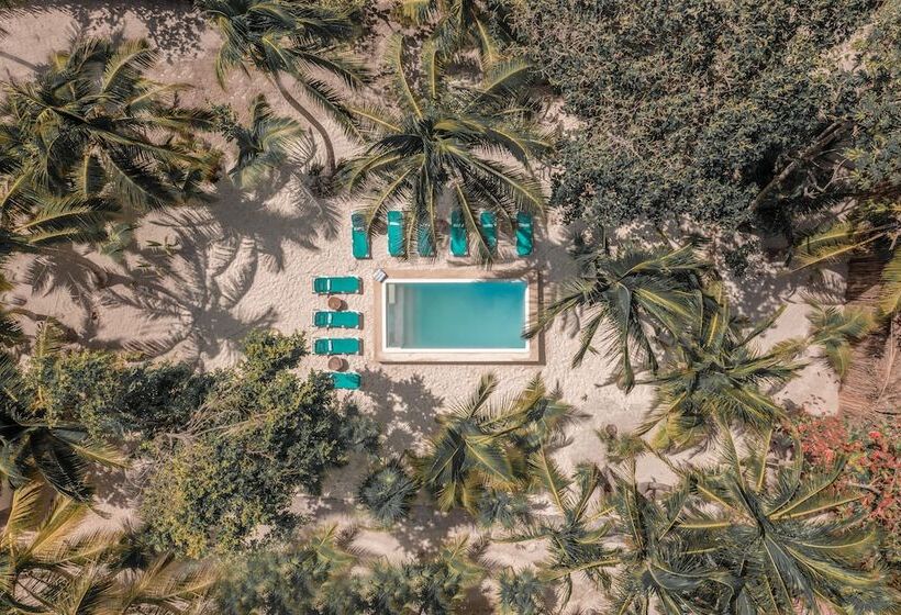 Отель Alito Tulum