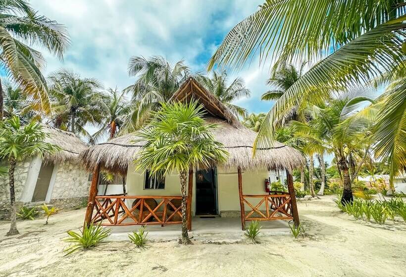 Отель Alito Tulum