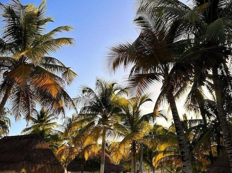 Отель Alito Tulum