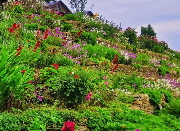 ホテル Meraki Huts