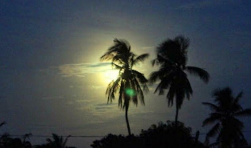 فندق صغير Trinco Bordima