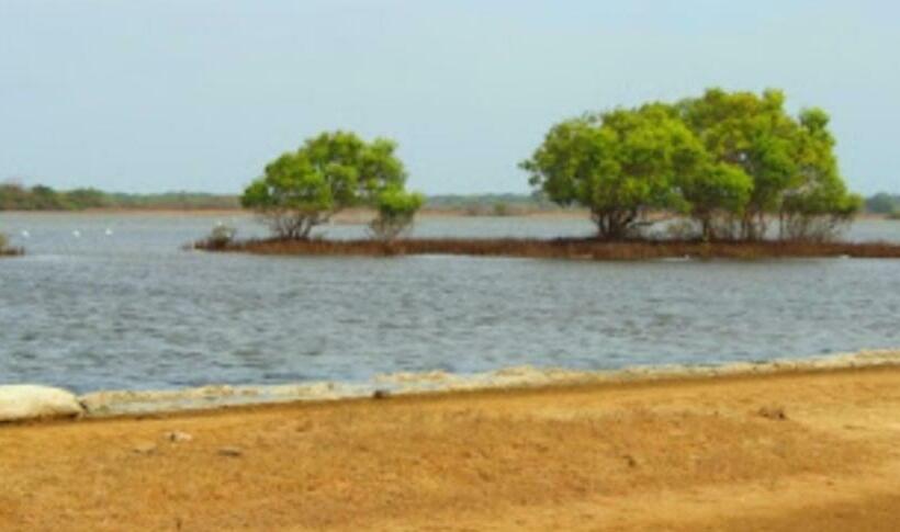 فندق صغير Trinco Bordima