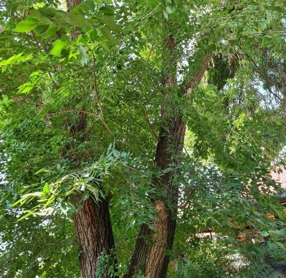 펜션 Pusztaszil Vendègház