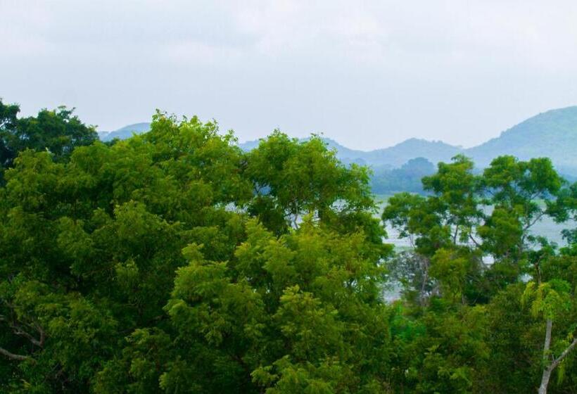 Пансион Three Elephant Holiday Inn