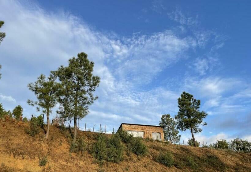 Quinta Da Pedrulha
