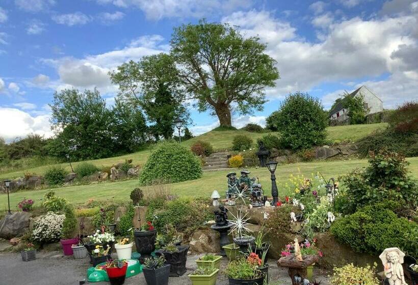 住宿加早餐  Dolla