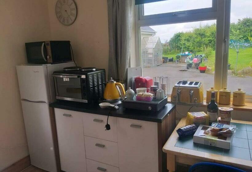 住宿加早餐  Dolla