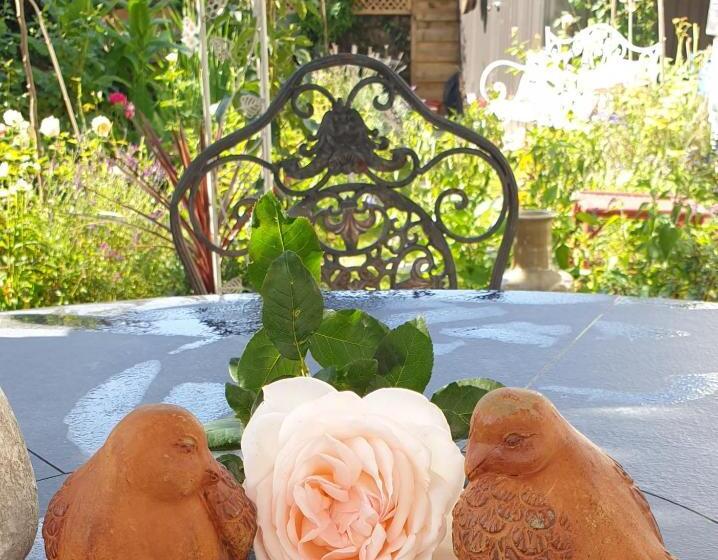 Bed and Breakfast Marie La Fée Endormie,  Breizh Buffet  & Balnéo