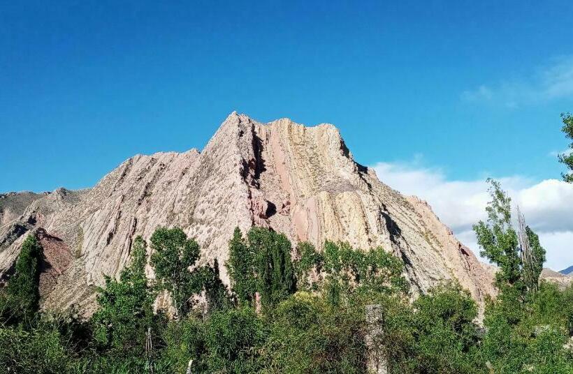 Cabaña Flor De Cardón Juella