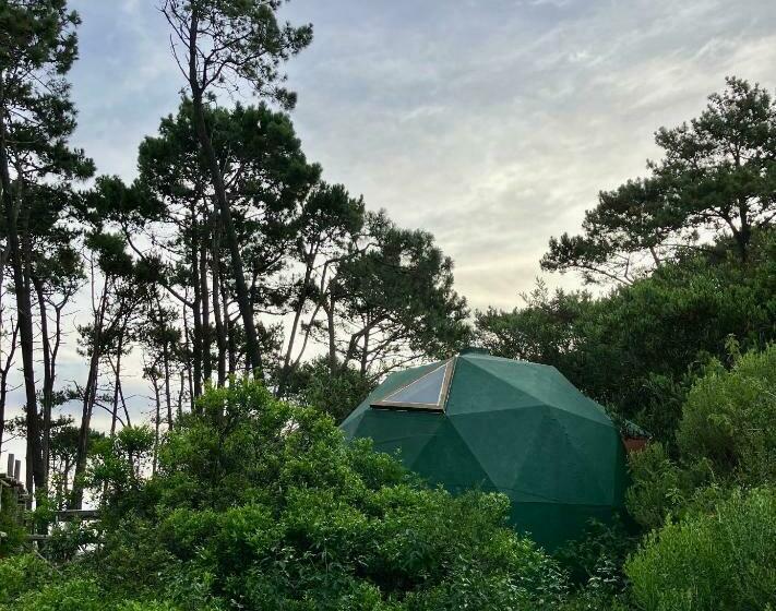 هتل کپسول Domosdemar