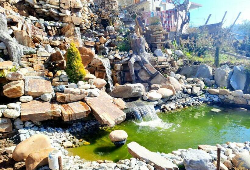 Отель Dev Chhaya