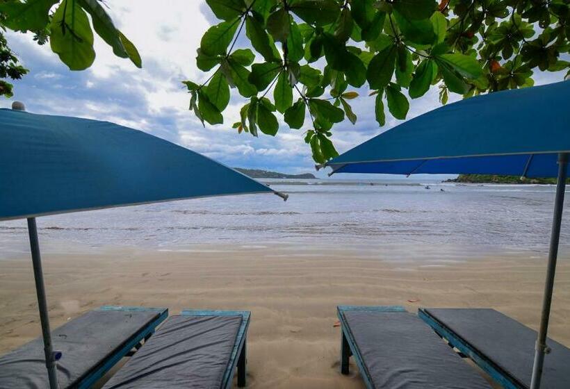 호텔 Palm Leaf Surf Cafe