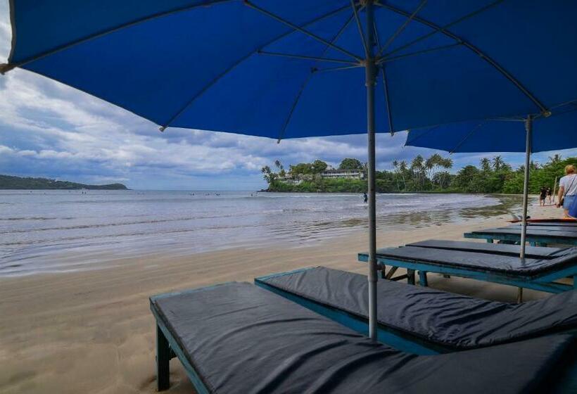 호텔 Palm Leaf Surf Cafe