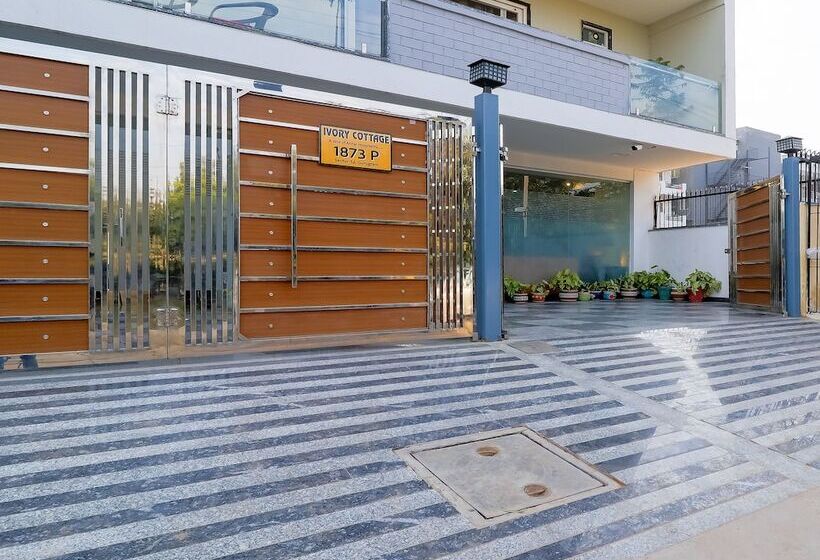 酒店 Treebo Rejoice 52   3km From Huda City Metro Station