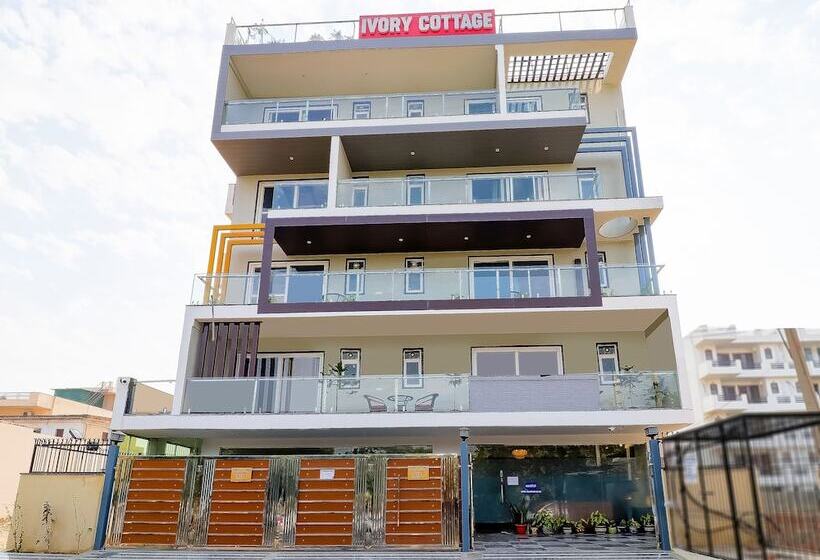 酒店 Treebo Rejoice 52   3km From Huda City Metro Station