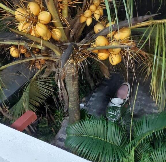 ペンション Pasindu Place