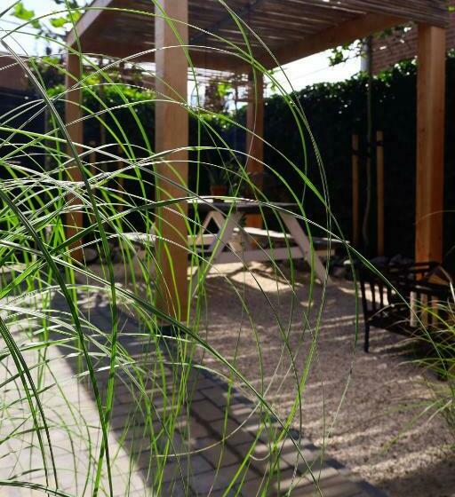 Bed and Breakfast Studio Mañana