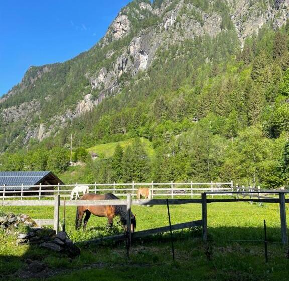 Bed And Breakfast Campo Base